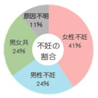 男性不妊症と女性不妊症の割合