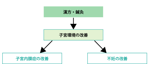 鍼灸と漢方でのアプローチ